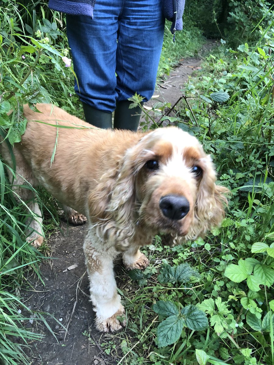 Dr. Pippa Little tweet media