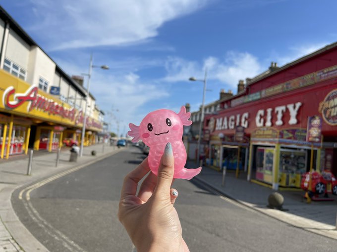 Had a lovely time with family for my birthday so thank you all for your birthday messages and those who<a href="/tag/mvsales"class="tags"><span>#mvsales</span></a>