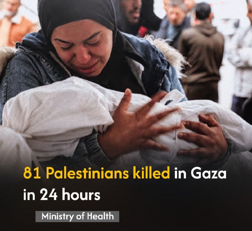 The israelis commit 8 massacres against families in Gaza during the past 24 hours, resulting in 81 documented fatalities and 223 critical injuries