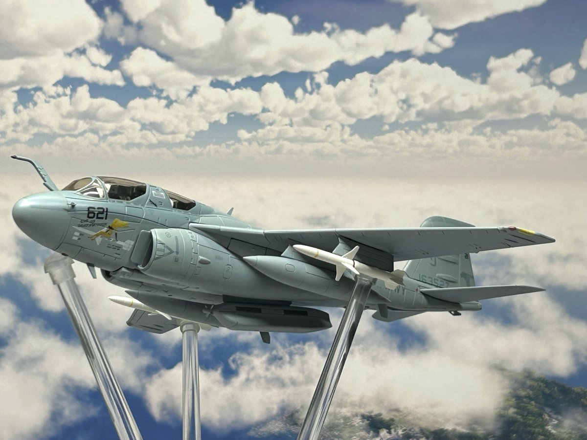 akabou_himawari's tweet photo. #プラウラー も飛ばす!!
#ホビーマスター #青箱
#EA6 #Prowler (うろつく者) #電子戦機
A-6 #イントルーダー の改設計型 https://t.co/gvrdGSQit9