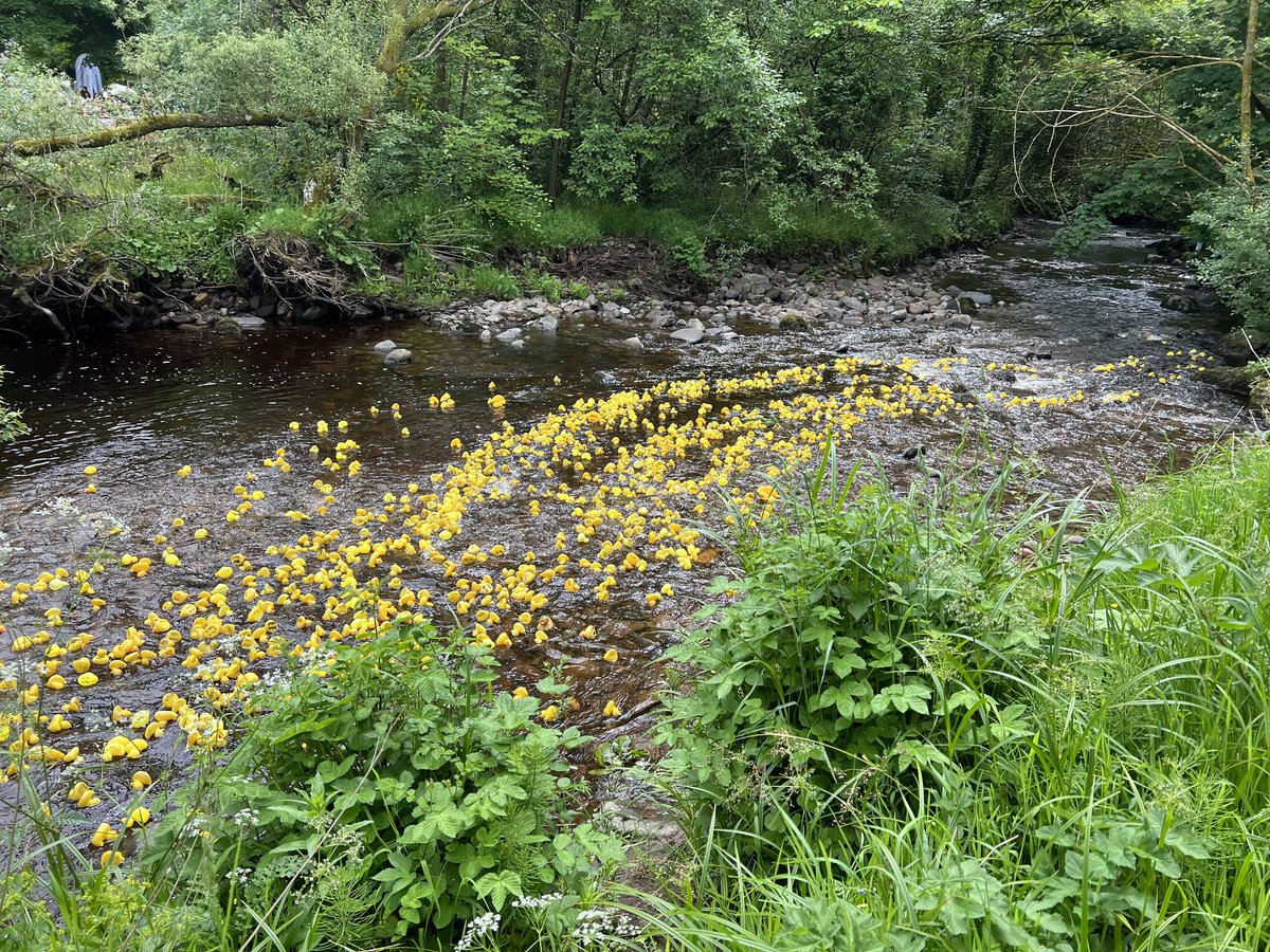 QVSchool's tweet photo. Well done to QVS MAD Group team who supported the #DuckRace yesterday at the #Dunblane Fling ❤️💛💚
Great Effort #TEAMQVS 🙌 https://t.co/IaqQGN1Nxs