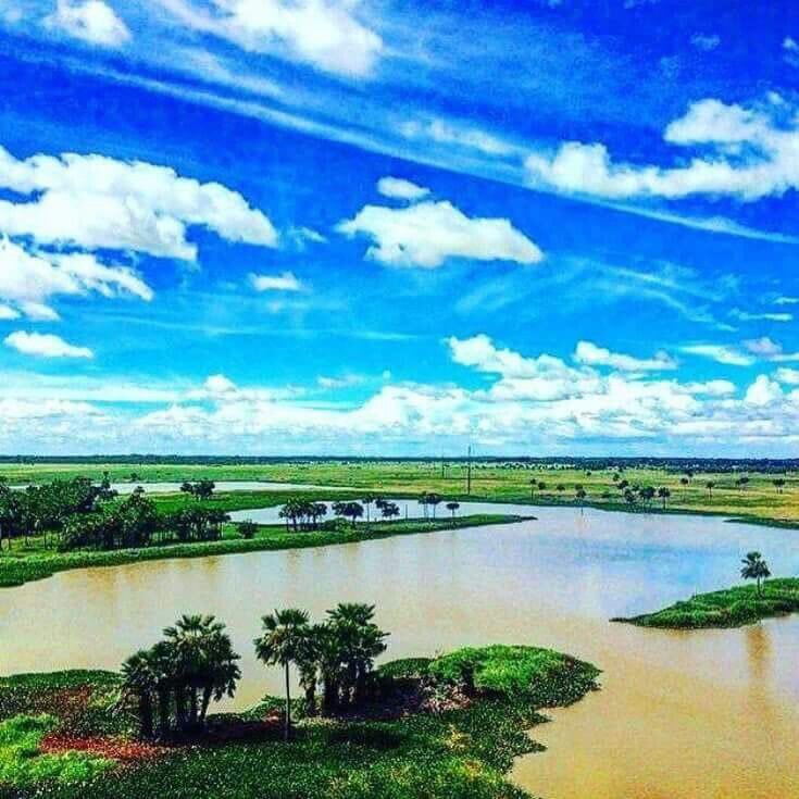 Hermosa postal 
LOS ESTEROS DE CAMAGUAN…Edo Guarico VENEZUELA 🇻🇪🇻🇪🇻🇪🇻🇪🇻🇪🇻🇪🇻🇪🇻🇪🇻🇪🇻🇪🇻🇪🇻🇪🇻🇪🇻🇪🇻🇪🇻🇪🇻🇪
Créditos: #venezuelasiemprevenezuela