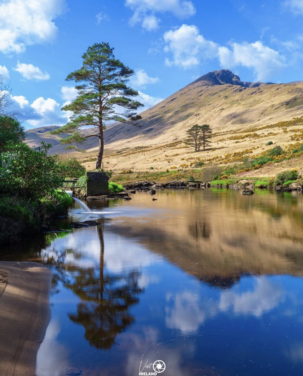 Aasleagh Falls, where the River Erriff flows from Mayo into Killary Harbour, Co. Galway 🌊🌲🌤️

#WildAtlanticWay #KeepDiscovering 
📸 ig/visit_ireland_