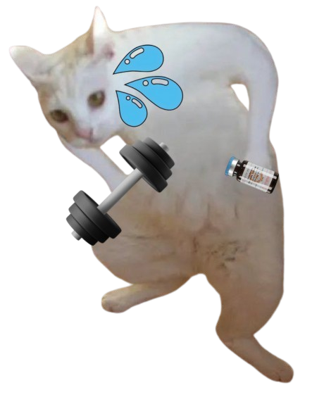 Goofy Cat tweet media