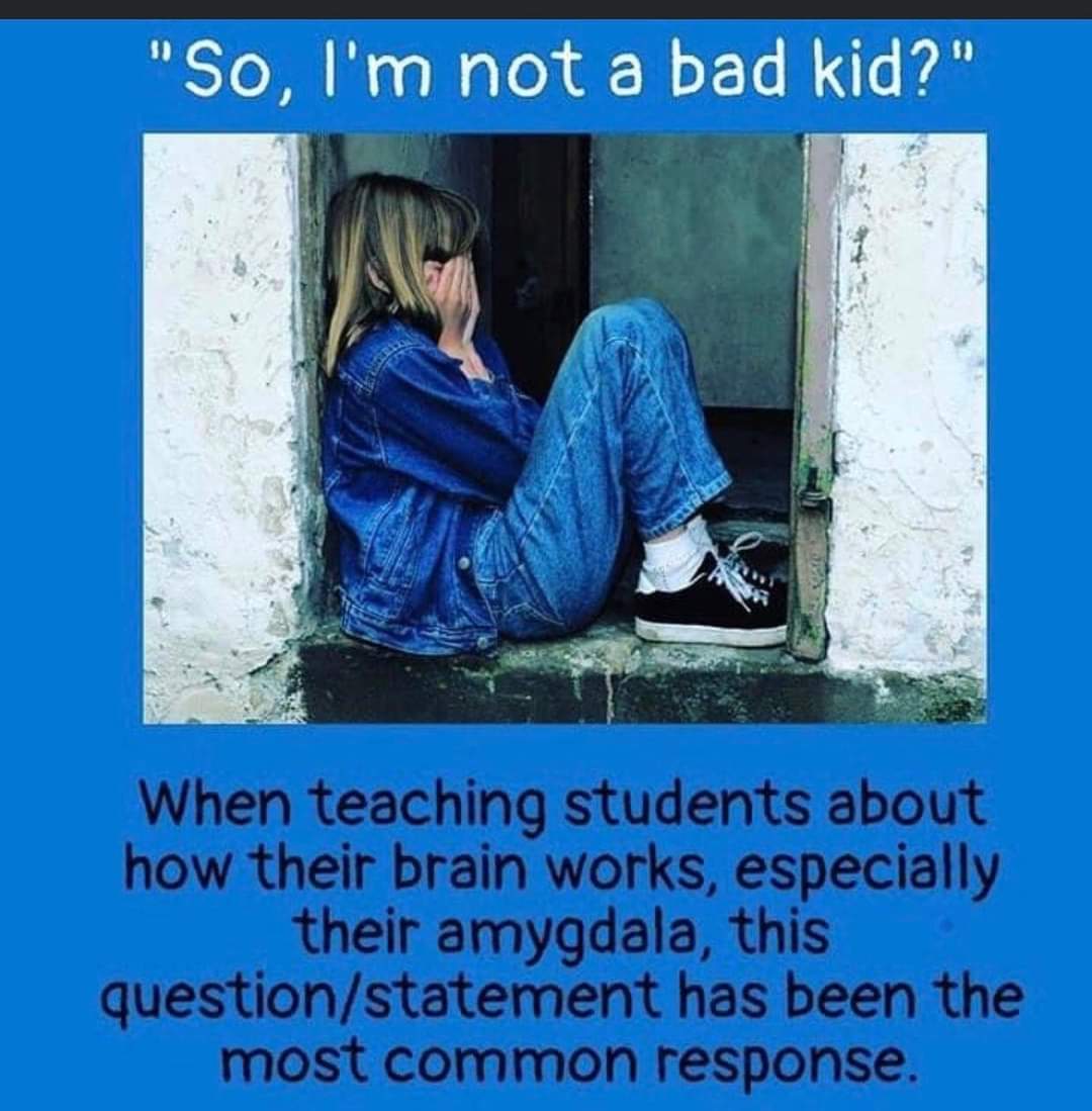 No, you're not  bad. You have an oversensitised amygdala, which is the part of the brain involved in emotions, memory,fight,flight, and freeze response. This is the brains smoke detector, responsible for survival threat related identification. 🧠🌱