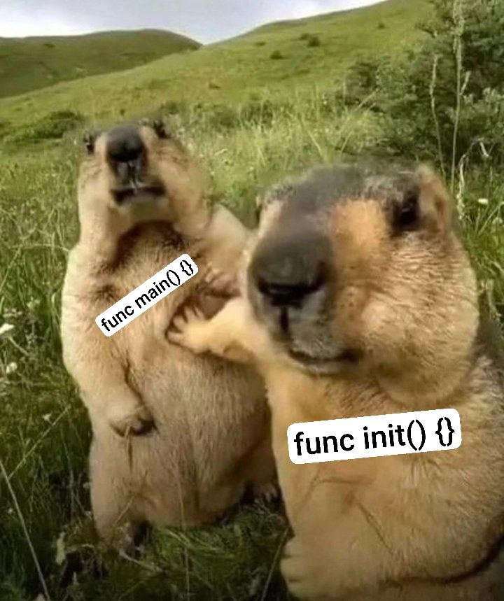 توضیح ساده فانکشن‌ init توی گولنگ