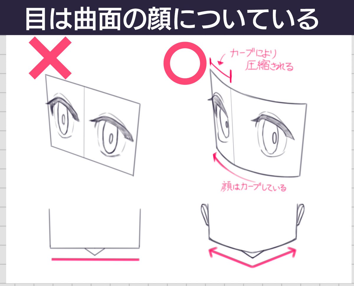 斜め向きの顔を描く時に、奥側の目が縦に細長くなる理由を図解しました👀
palmie.jp/courses/322/lp…