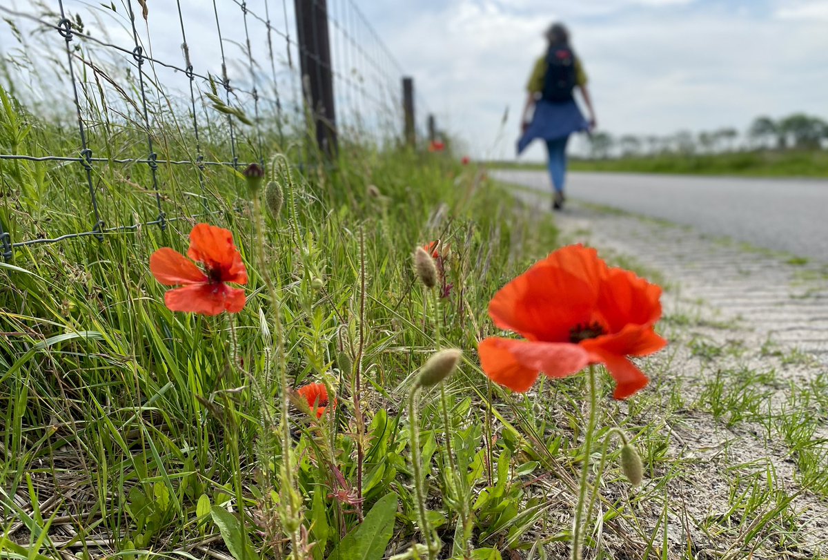 Paul Verspeek tweet media