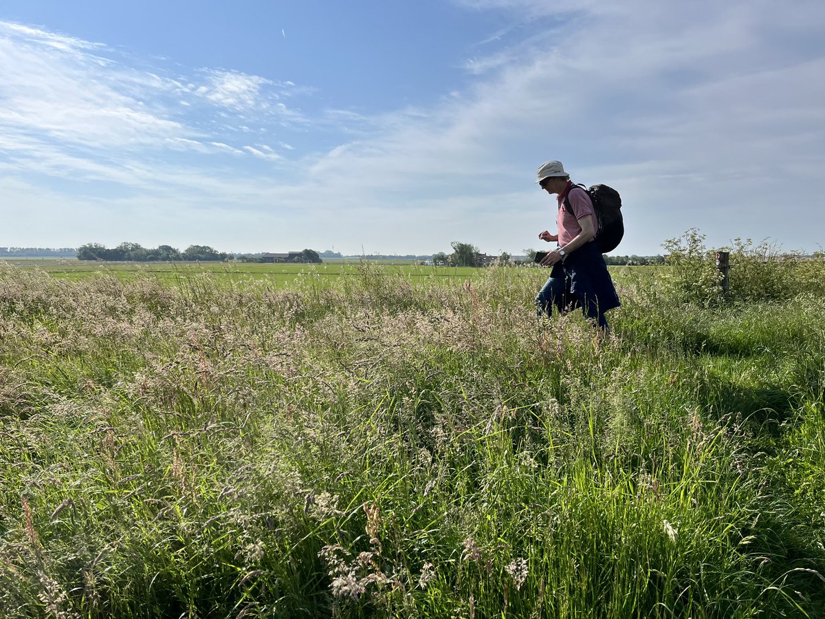 Paul Verspeek tweet media