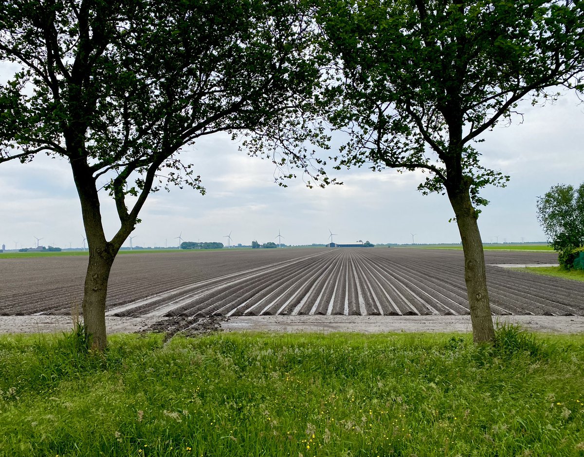 Paul Verspeek tweet media