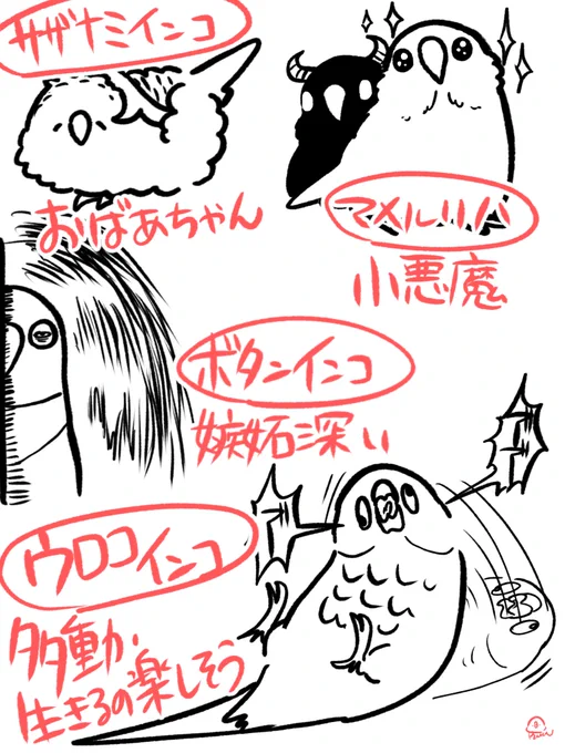 ほかの鳥もくれと言われたのでほかの鳥のイメージです(偏見) 