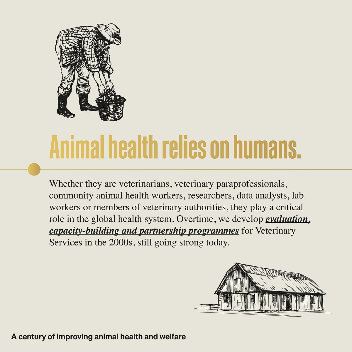 WOAH's tweet photo. The link between humans and animals has been inextricable since time and beyond. As we roll into 100 years of existence, we reflect over the journey of the World Organisation of Animal Health from the start. (2/2) #WOAH100