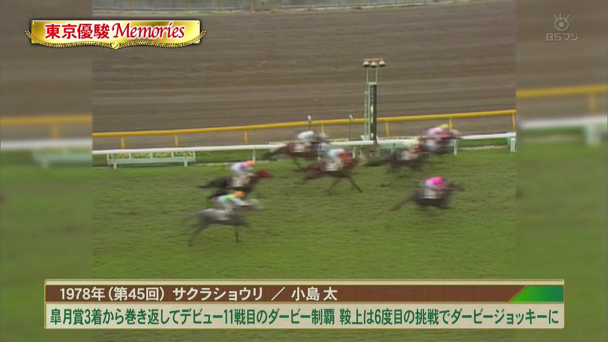 超希少！ 1978年 第45回 日本ダービー 入場券 競馬 日本中央競馬会 東京優駿（日本ダービー）Memories 第45回1978年サクラショウリ、今日