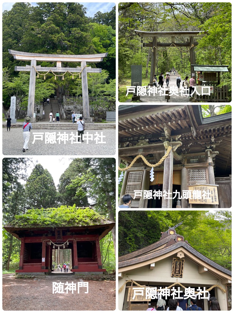 rie_141's tweet photo. 戸隠神社巡り😊
宝火社と火之神御子社は撮り
るの忘れた😅 https://t.co/BqqVbWFjFF
