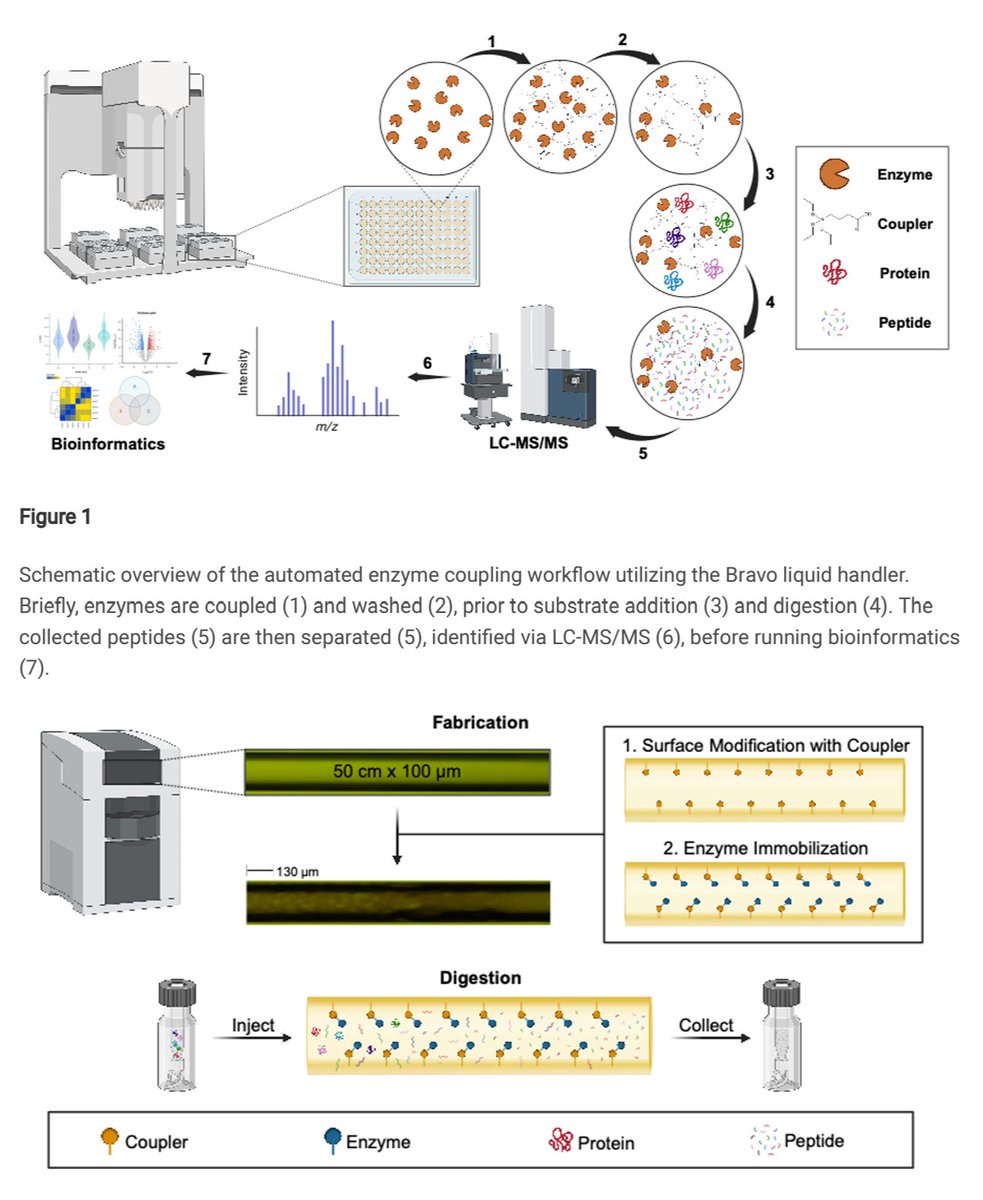 Development of Automated Proteomic Workflows Utilizing Silicon-Based Coupling Agents researchsquare.com/article/rs-443…

---
#proteomics #prot-preprint