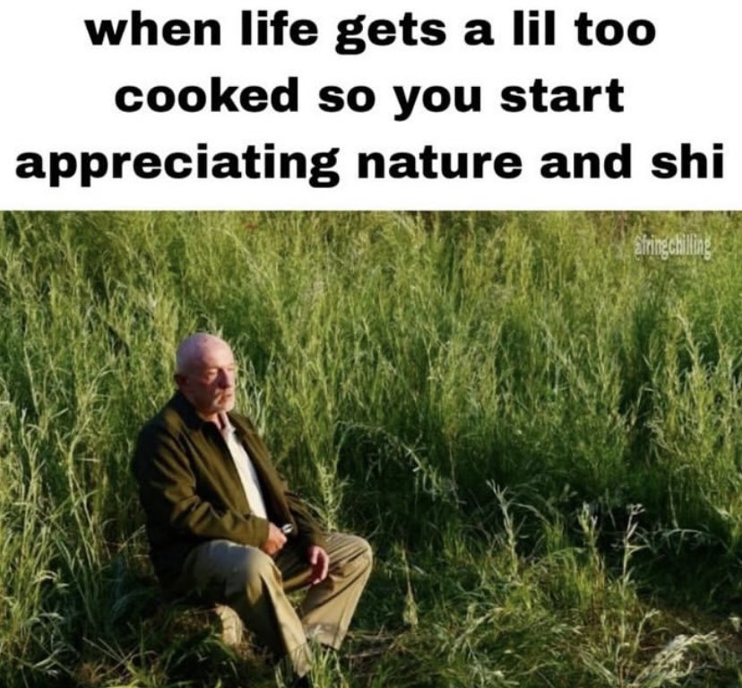 ✧ (@northstardoll) on Twitter photo 