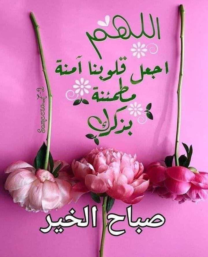 احمد *ابو بندر* (@ahmed_ali1386) on Twitter photo 