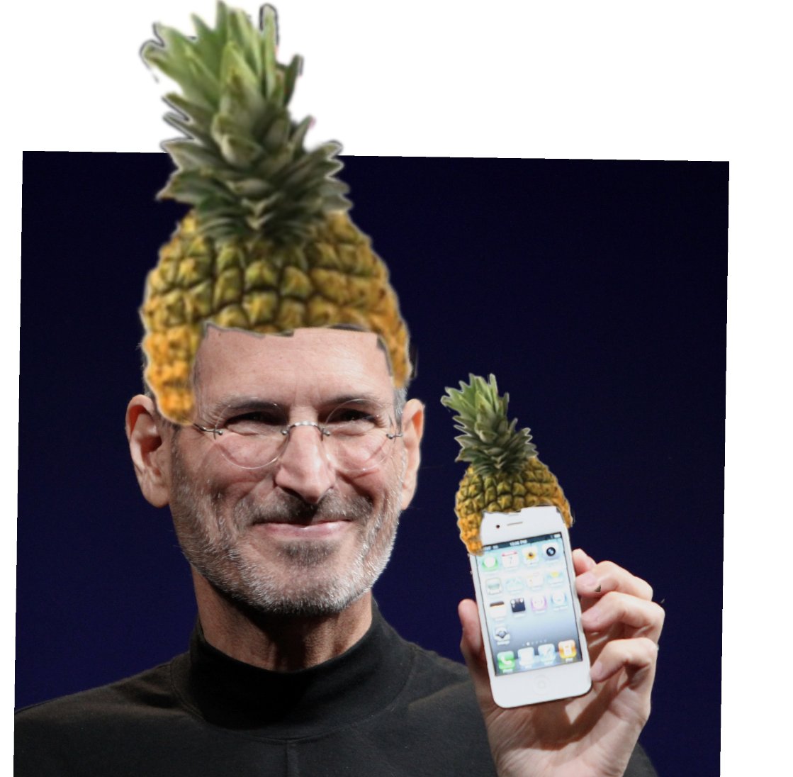 Pineapple Cat 🍍🐱 tweet media