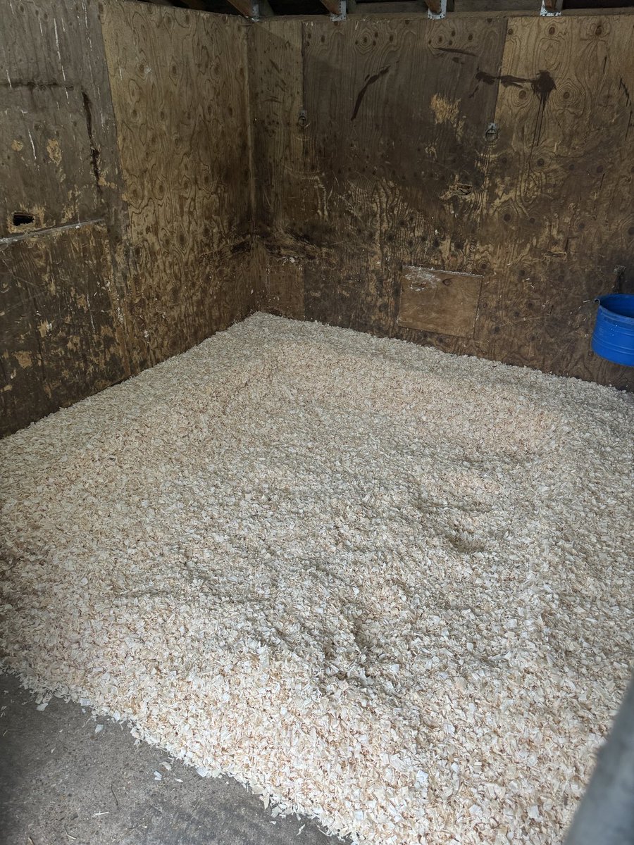patowensracing's tweet photo. We take immense pride on how we look after our horses here ⁦@patowensracing⁩. One of our stables prepared for a new arrival later this morning. One horse is going to be very very happy in their new home. Care &amp; kindness. https://t.co/3HkffFvIyK