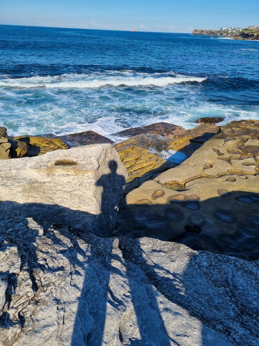 KatieDodson tweet media