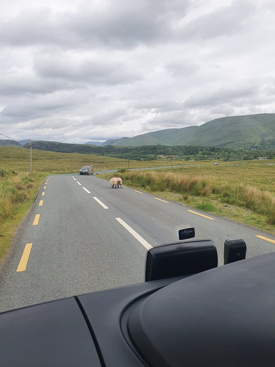 GreenEscapeT's tweet photo. Back touring this week from #Dublin, #Clonmacnoise and visit of the #Connemara and cliffs of Moher. Tonight, we will enjoy the #celticsteps show in Tralee. https://t.co/OnGHvA0o0I