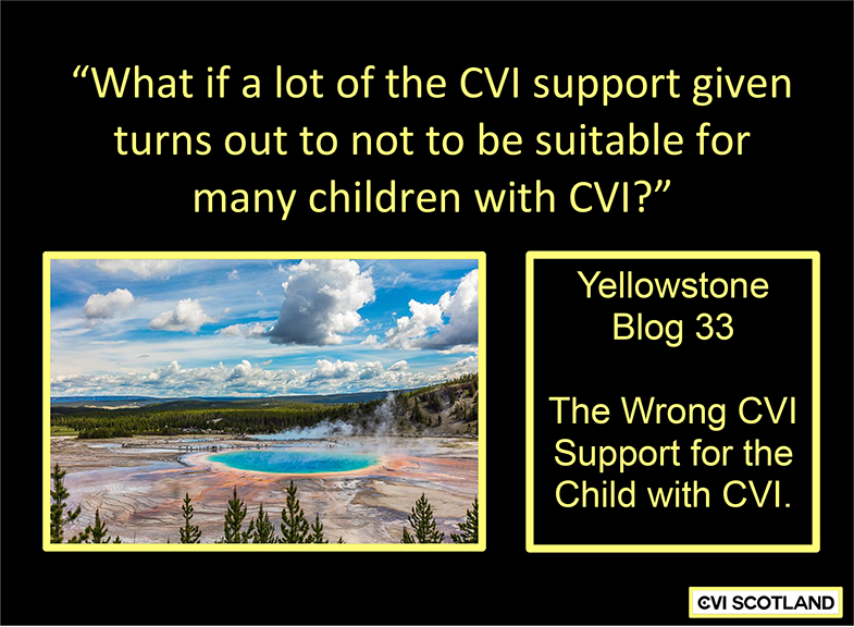 There are many different ways to support a child with CVI. Much requires the use of vision, where adaptations have been made, eg to reduce complexity. What about when that's wrong, or at best sub-optimal? What if optimal = different approaches? #cvi Blog👇 peroo.sh/4O