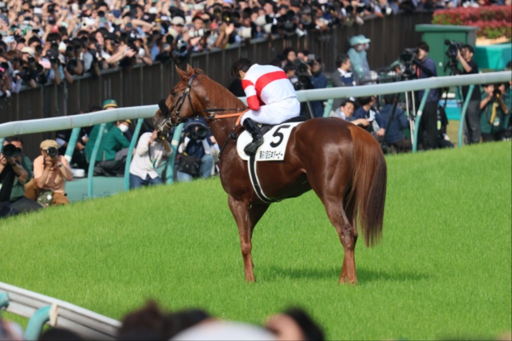 5月26日 東京競馬 第１１レース 東京優駿[日本ダービー](ＧＩ) 優勝馬 5番 ダノンデサイル 　　　横山典弘 騎手