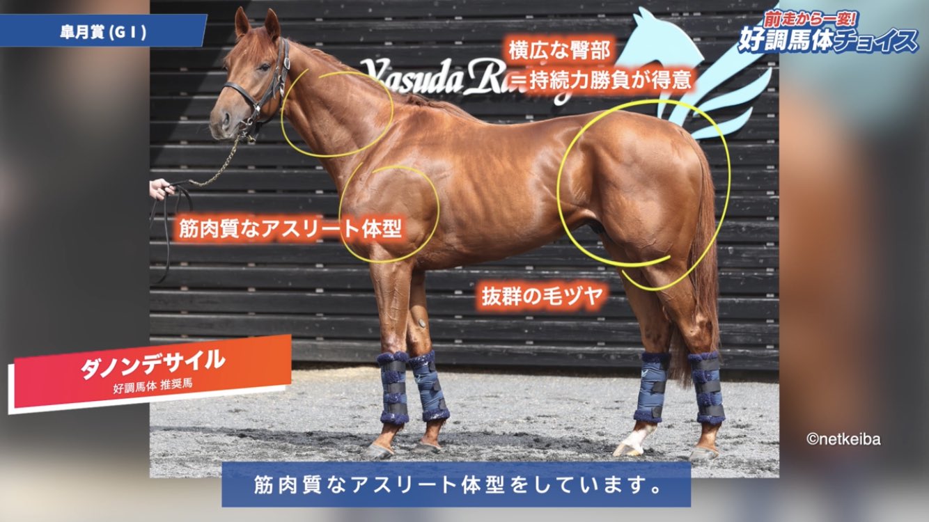 ダノンデサイル ダービー 単勝馬券 ダノンデサイル ダービー 単勝馬券