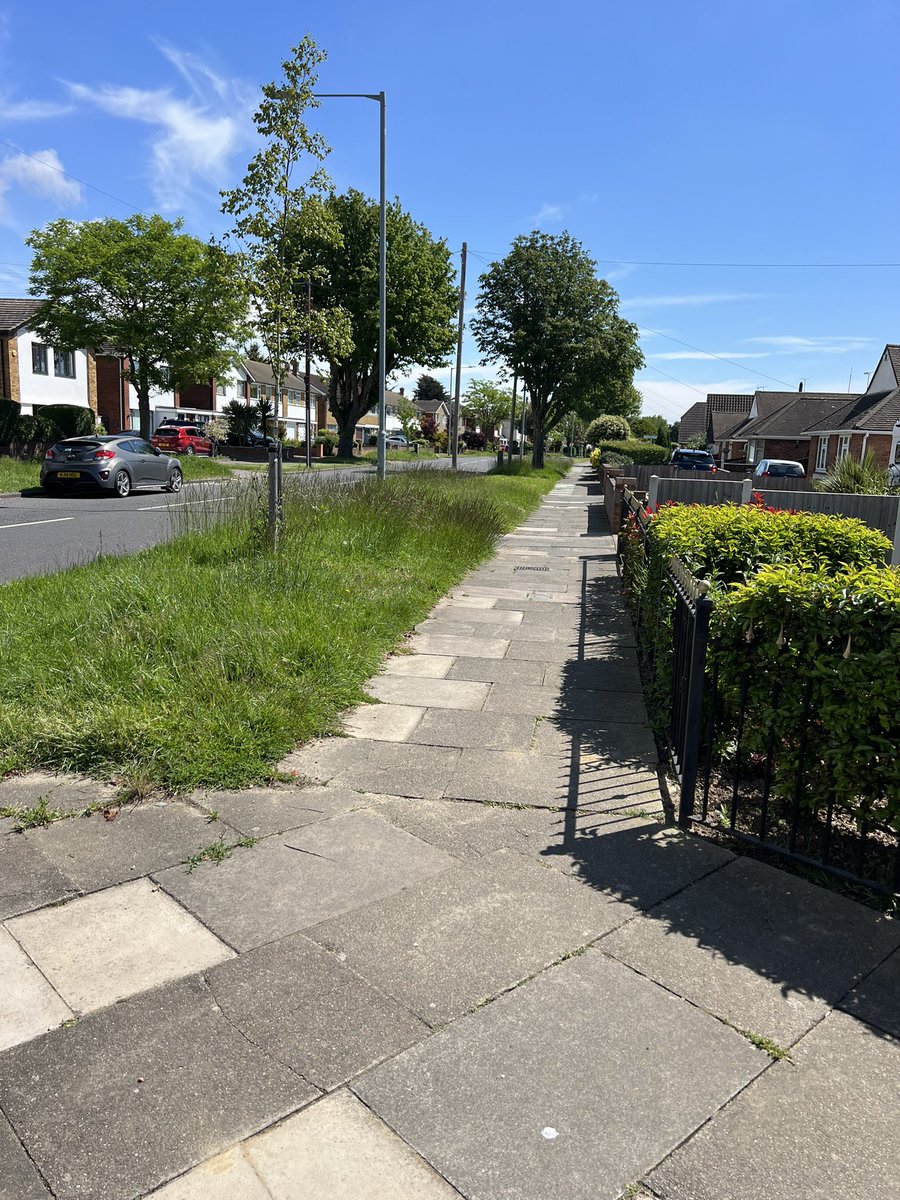 Vimpex Martin tweet media