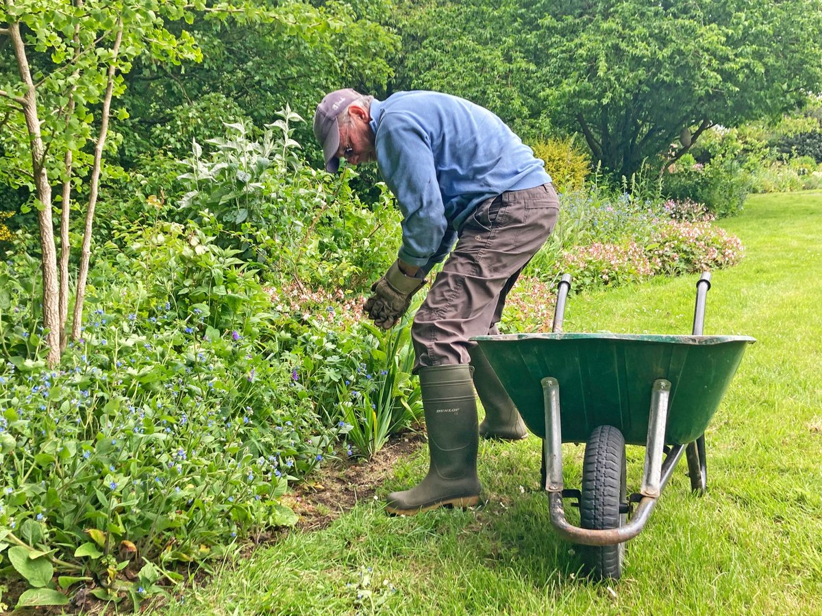Dig in! Tony is keeping our borders edged and clear. We will see our volunteers tomorrow when they come in to weed, prune and improve our grounds. They do a fantastic job. Are you a gardener? We'd love to get some tips from you!