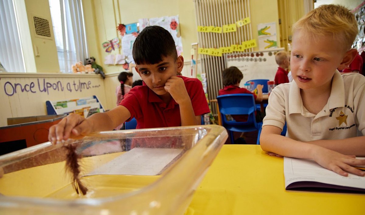 🌟Birchgrove Primary School has recently undergone a successful inspection by Estyn, which highlights the school's positive culture and strong leadership. You can read more here: orlo.uk/WpuDH