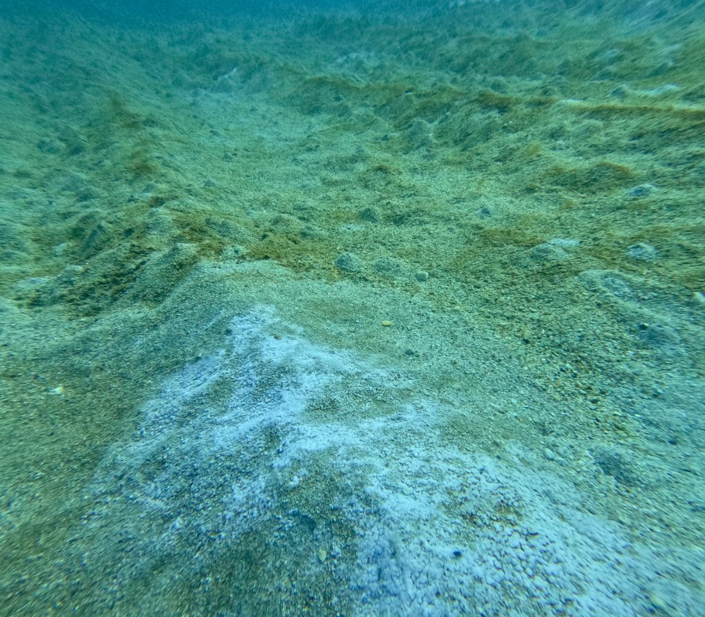 Dr Lars-Eric Heimbürger-Boavida tweet media