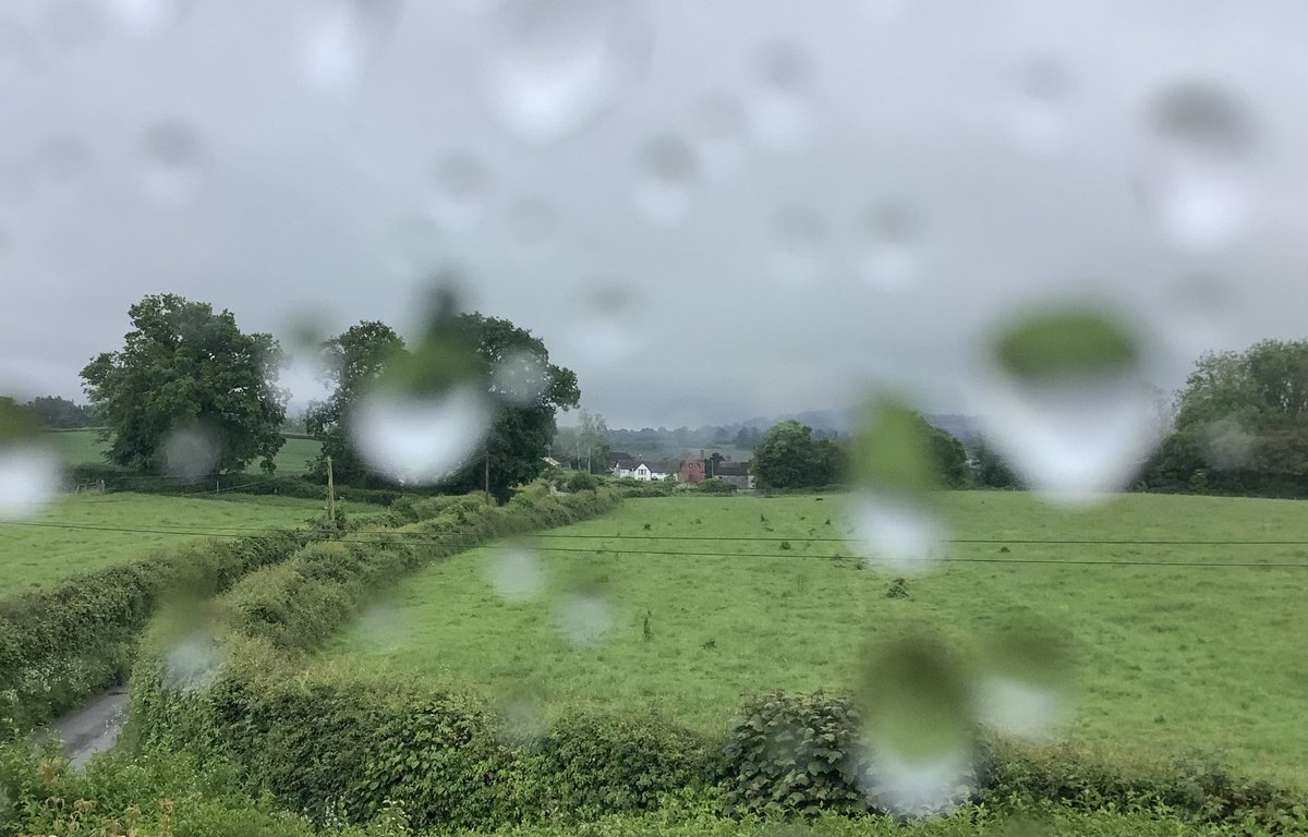 Good morning from the #WelshMarches. The glorious weather of yesterday has vanished. The raindrops on the window say it all … 🌧🌧☔️