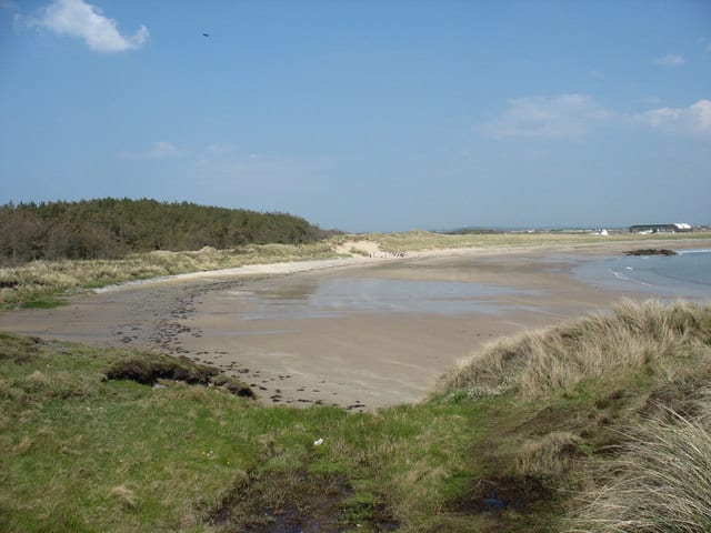 Silver Bay Beach is an isolated sandy beach and a great location to escape the crowds. The bay curves around, with low rocky headlands at either end and faces south into Cymyran Bay.

coastradar.com/places/united-…

#silverbaybeach #isleofanglesey #anglesey #wales #northwales #ukbeaches