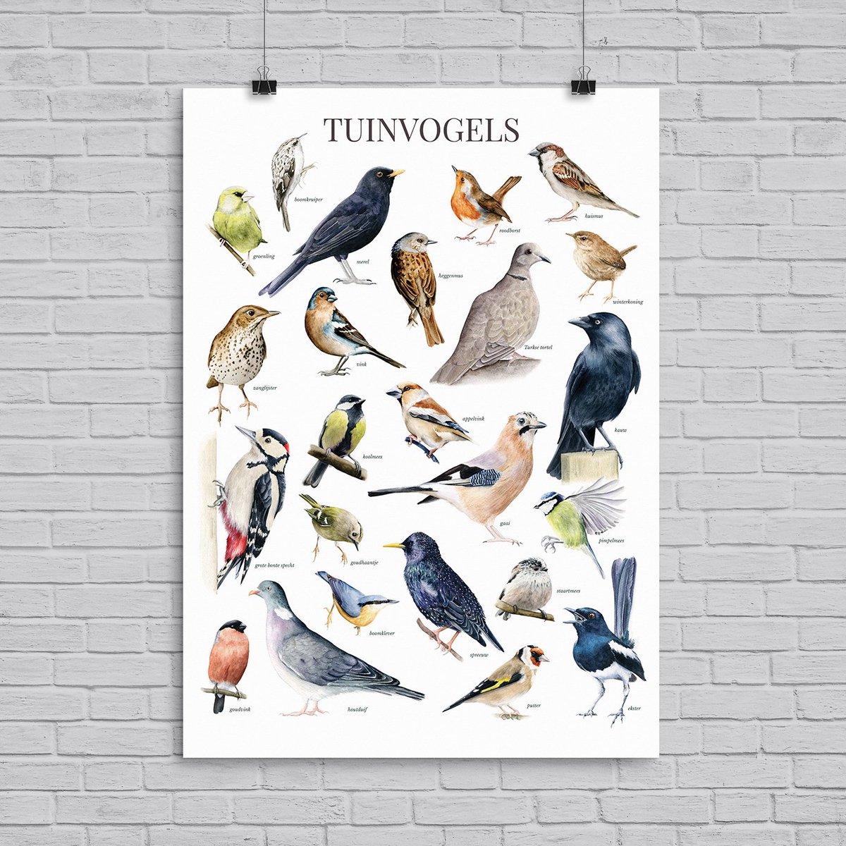 JojanTekent's tweet photo. Goedemorgen! 

Kleine reminder dat je nu ook bijvoorbeeld mijn vogelposter met 20% korting kunt aanschaffen met code BABY. 

https://t.co/Z36SGNPRiA https://t.co/75438csxdm