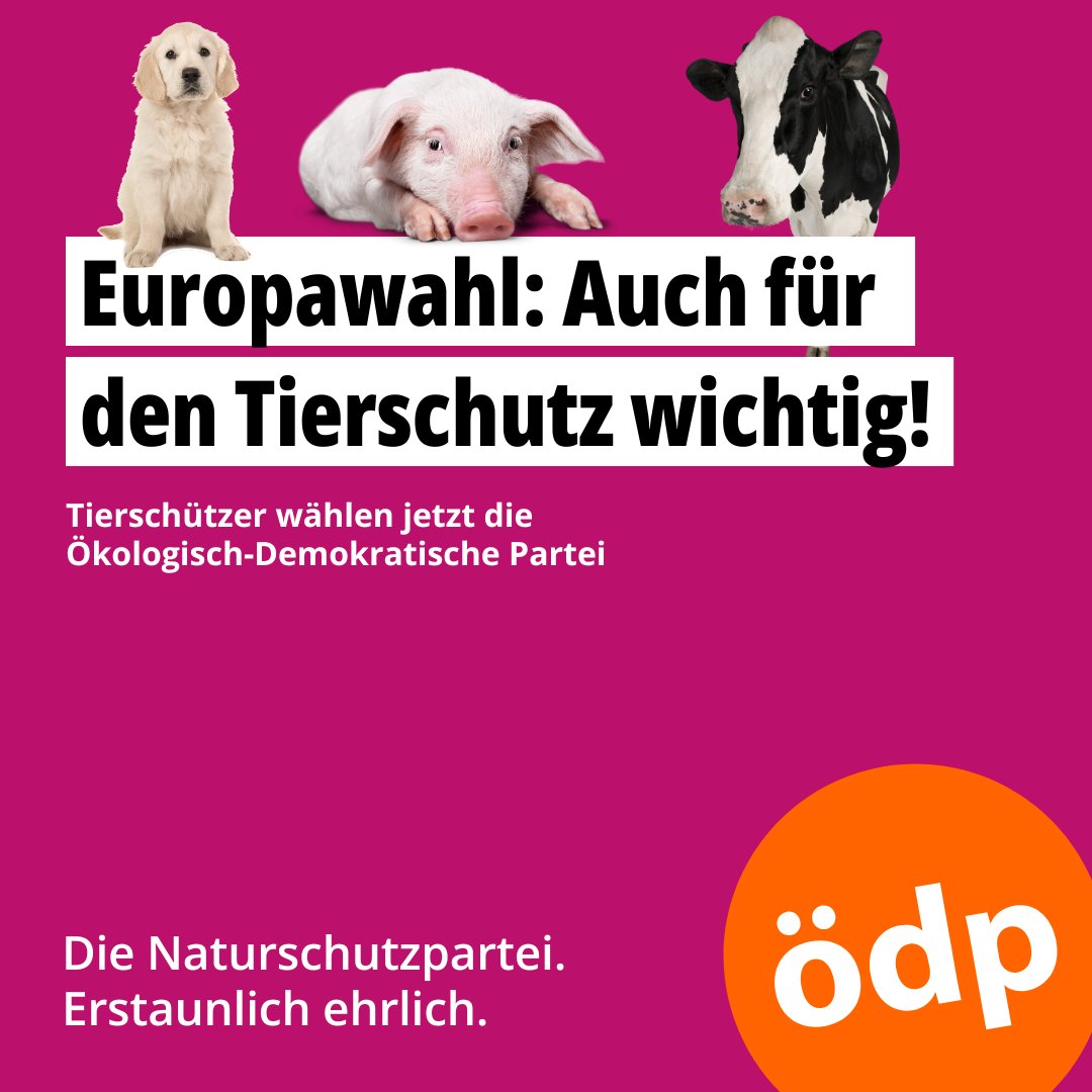 oedp_de's tweet photo. Euch ist #Tierschutz wichtig? Uns auch! Der Deutsche Tierschutzbund hat die Programme einiger Parteien auf ihre Tierschutz-Tauglichkeit hin geprüft 😊
👇
https://t.co/s7EPPwiLpD https://t.co/qQUXHwv0xX