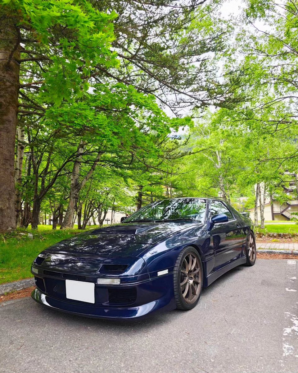 seven_skys's tweet photo. 緑補給したから帰ろ！ https://t.co/XLlPda6oGN
