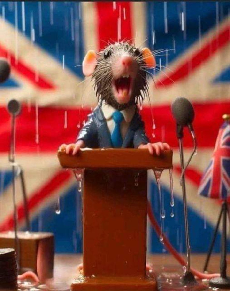 Carol Vorderman tweet media