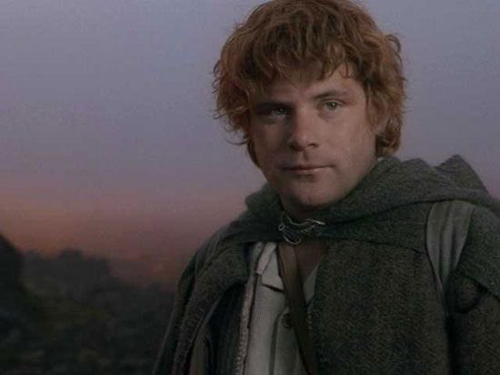 Samwise Gamgee is the real hero in The Lord of the Rings. #thelordoftherings #tlotr