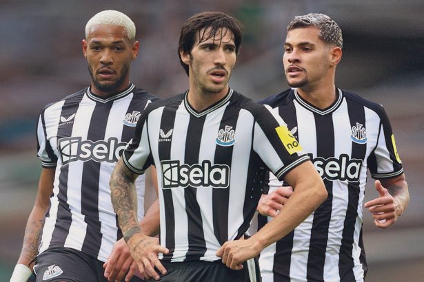 Newcastle will be challenging for the top 4 next season. Save this tweet. #nufc