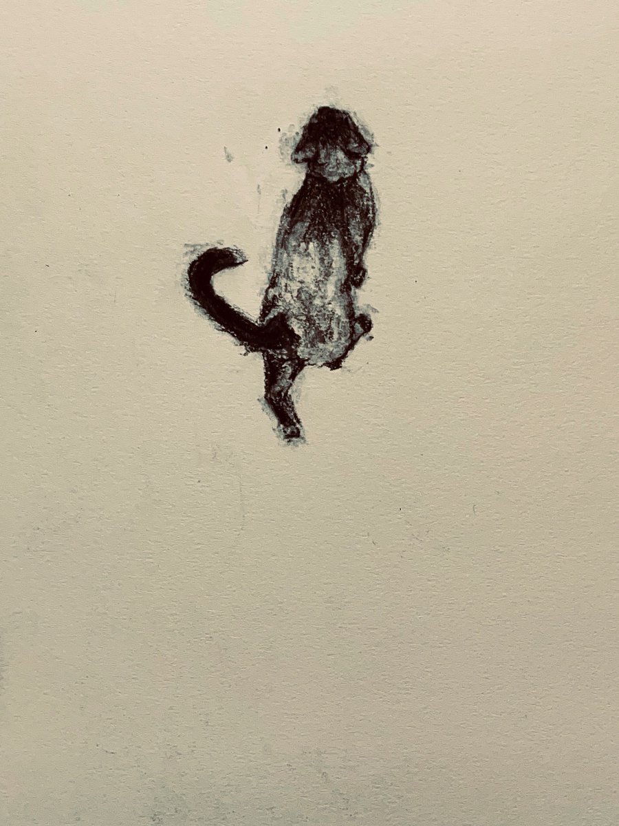 Whisper stalking charcoal on paper #CatOfTwitter  #cats #catsonX #charcoal #catsarefamily #catart