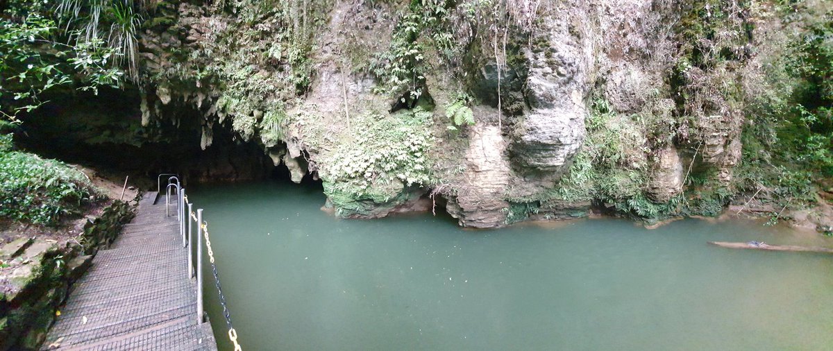 Today we left Te Tiro and made way to the waitomo caves. We walked roughly 2km in cave tours today, not including the boat ride through the glow worm caves. I wasn't able to get many pics of inside the caves as it wasn't allowed and it was too dark. In Taupo now, tmrw Rotorua.