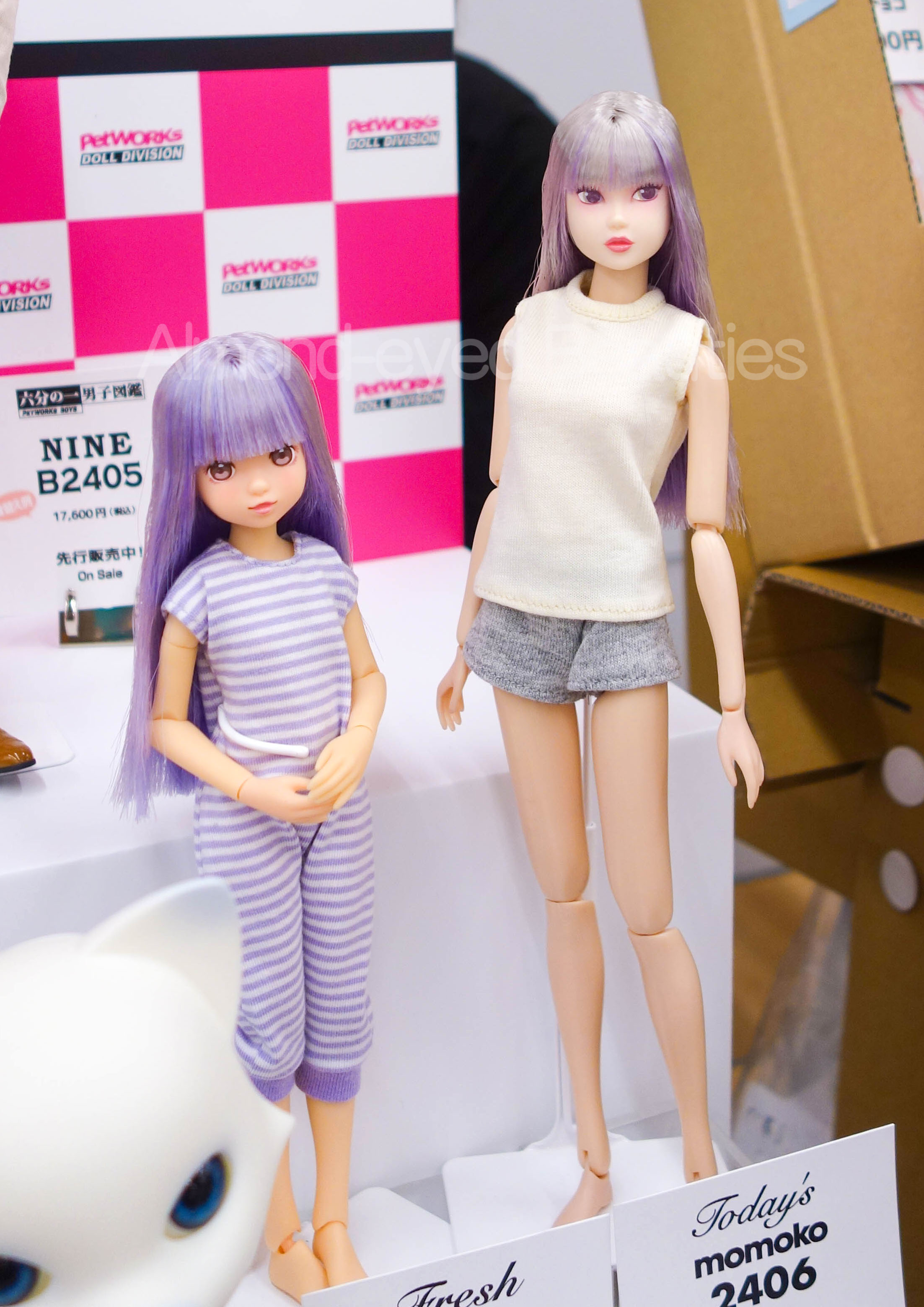 Today's momoko 2009 痛く 2nd ペットワークス Today's momoko 2009 痛く 2nd ペットワークス