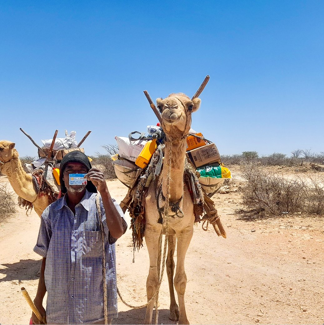 A story from Qaraaru village, near Borama, where @WFP recently introduced cash assistance, empowering choice and dignity for 2,000 people monthly. Among them is Omar Nur Abdi, who used it to provision himself with food items, having to borrow a camel to bring them back home!🐪🛒