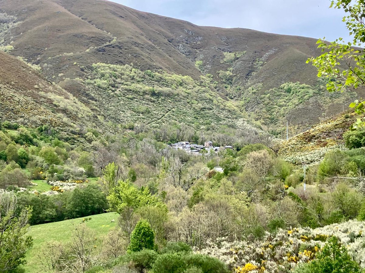 Buenos días! Cariseda. Valle de Fornela.