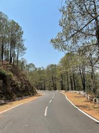 Tricolour1st's tweet photo. SOURCES : #BJP 🪷 is Planning to cut Thousands of Trees in popular Hill station of #Uttarakhand &amp; #Himachal for road widening &amp; make single lane into double lane road  to solve problems of Traffic Jam caused by Over Tourism 

#KickOutBJP &amp; Save Environment https://t.co/vewtD5OJEJ