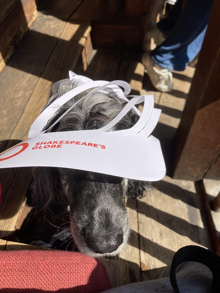 Thanks to @Stagetext @The_Globe and my assistance dog @HearingDogs I attended “ much ado about nothing”yesterday. Such a wonderful experience. Being deaf doesn’t mean you can’t enjoy Shakespeare!