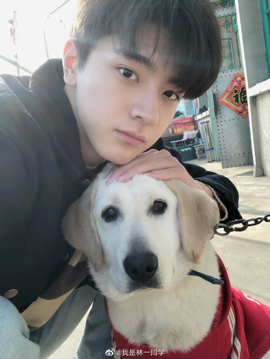 촬영 현장을 가면 냥줍 멍줍 사진 올라옴