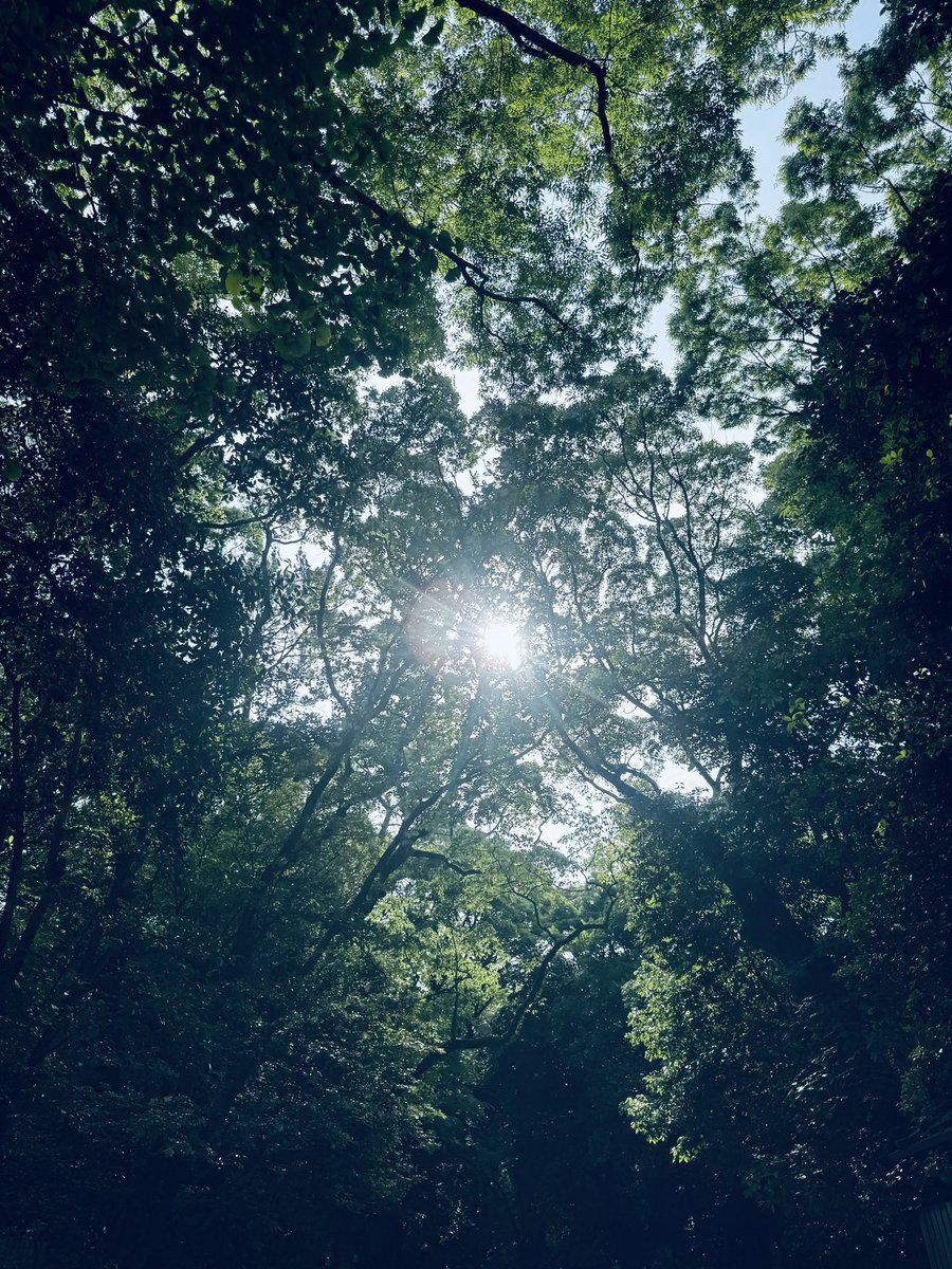 新緑が気持ち良き🌳

#パワースポット #熱田神宮 #勝守り