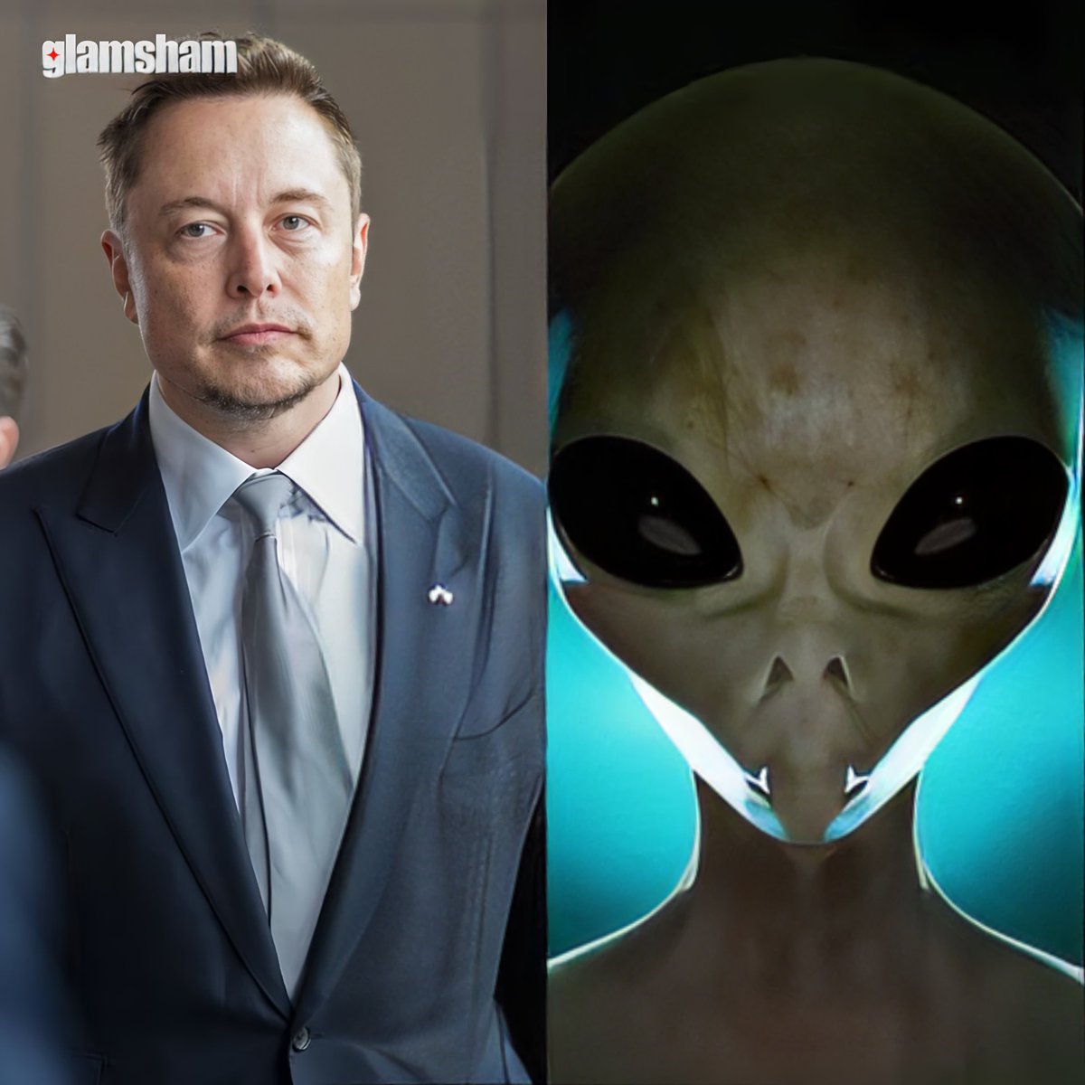 I KEEP SAYING I'M AN ALIEN, BUT NOBODY BELIEVES ME' - ELON MUSK

#Glamsham #ElonMusk #Hollywood #Scientist #Tesla #Internationalnews #Aliens